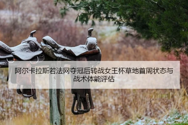 a-er-ka-la-si-ruo-fa-wang-duo-guan-hou-zhuan-zhan-nv-wang-bei-cao-di-shou-zhou-zhuang-tai-yu-zhan-shu-ti-neng-ping-gu-2-820.jpg