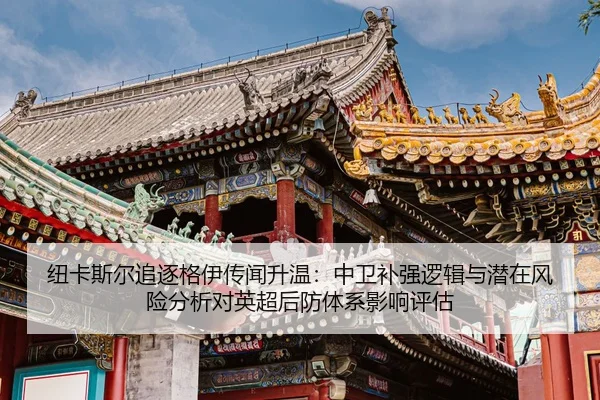 niu-ka-si-er-zhui-zhu-ge-yi-chuan-wen-sheng-wen-zhong-wei-bu-qiang-luo-ji-yu-qian-zai-feng-xian-fen-xi-dui-ying-chao-2-366.jpg